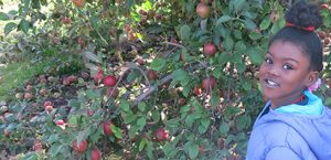 child in apple orchard